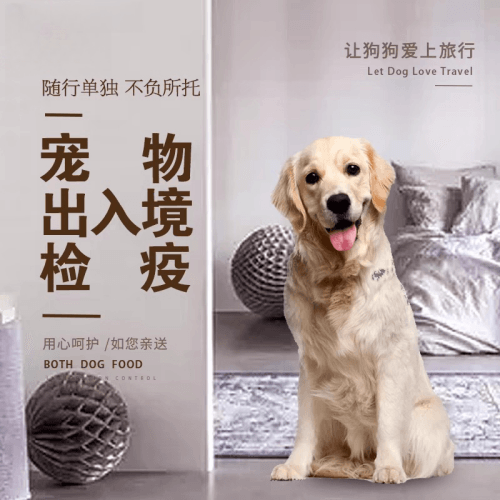 济源市宠物托运到哥伦比亚猫狗宠物入境规定和