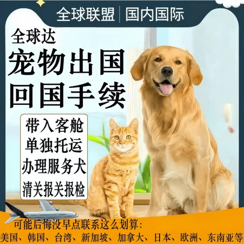 济源市宠物托运到柬埔寨宠物入境规定和要求