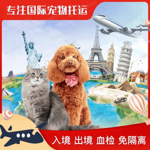 济源市宠物托运到美国宠物入境最新规定和要求