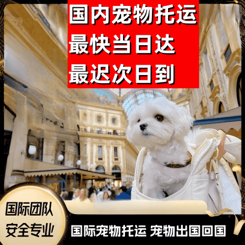 济源市到澳大利亚（澳洲）宠物入境规定和要求