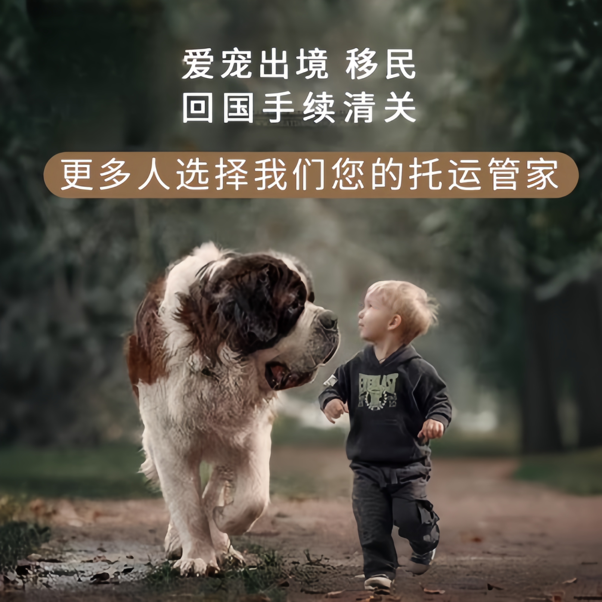 满财济源市宠物全球达宠物托运在遵守入境目的地政策的条件