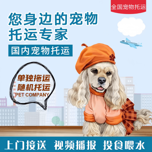 满财济源市宠物全球达宠物托运作为专业的宠物运输代理机构